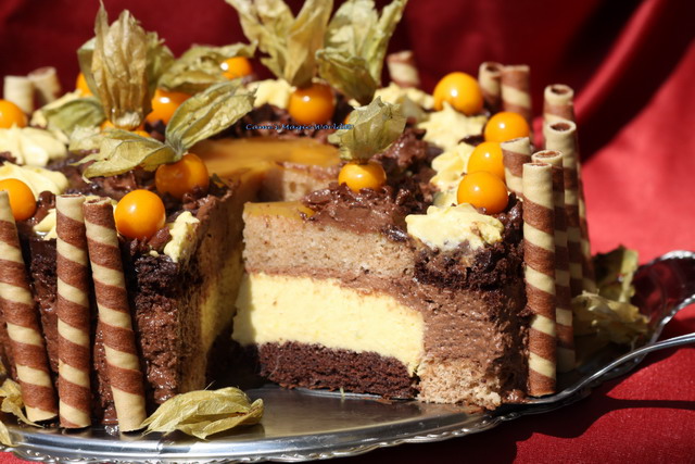Schoko-Mango-Torte