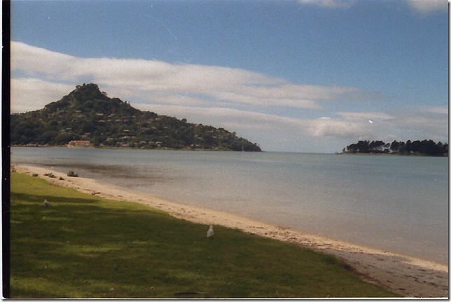 JY01_019